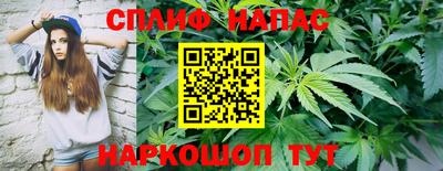 ГАЛЛЮЦИНОГЕННЫЕ ГРИБЫ Можга
